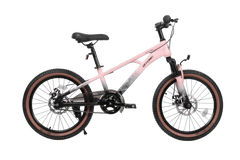 Qitong Bicycle 20 Inch Pink TN23A04 20IN - Colorland Toys