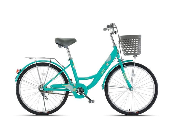 Qitong Bicycle With Basket 20 Inch Green TN24Q24