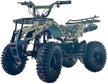 Quad Bike Electric ATV 36V Green TG-250/PR025-02/TRJ49