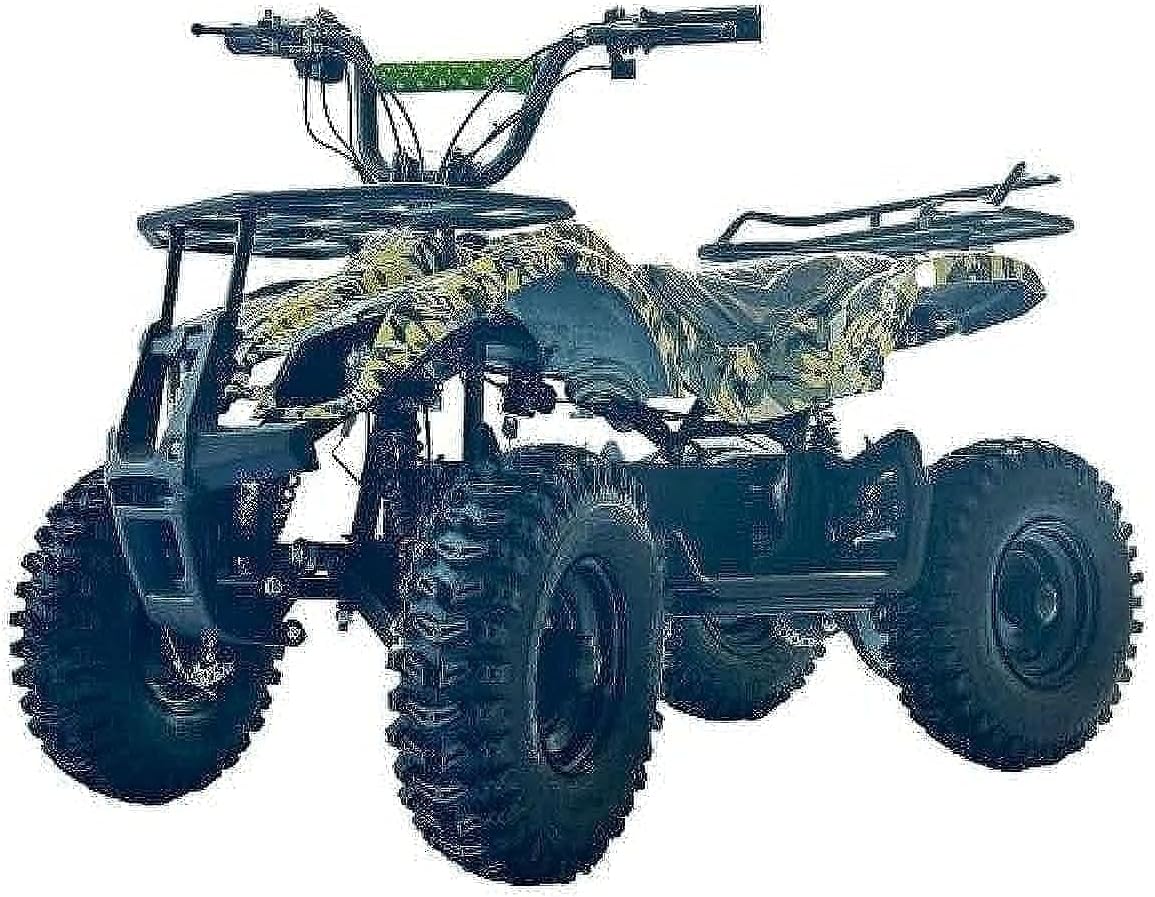 Quad Bike Electric ATV 36V Green TG-250/PR025-02/TRJ49 — image 1
