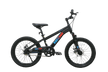 Raccoon Bicycle 20 Inch Black TN24R67 20IN