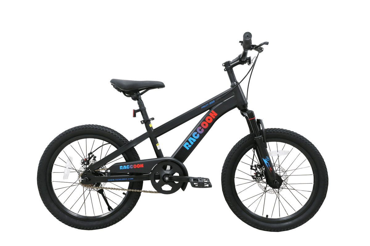 Raccoon Bicycle 20 Inch Black TN24R67 20IN - Colorland Toys