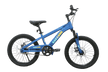 Raccoon Bicycle 20 Inch Blue TN24R67 20IN