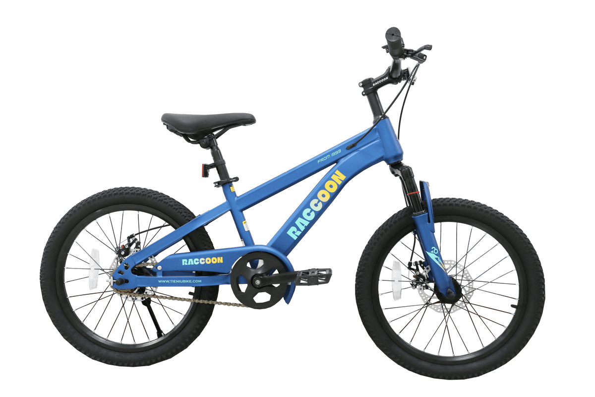 Raccoon Bicycle 20 Inch Blue TN24R67 20IN — image 1