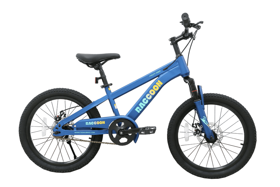 Raccoon Bicycle 20 Inch Blue TN24R67 20IN — image 1