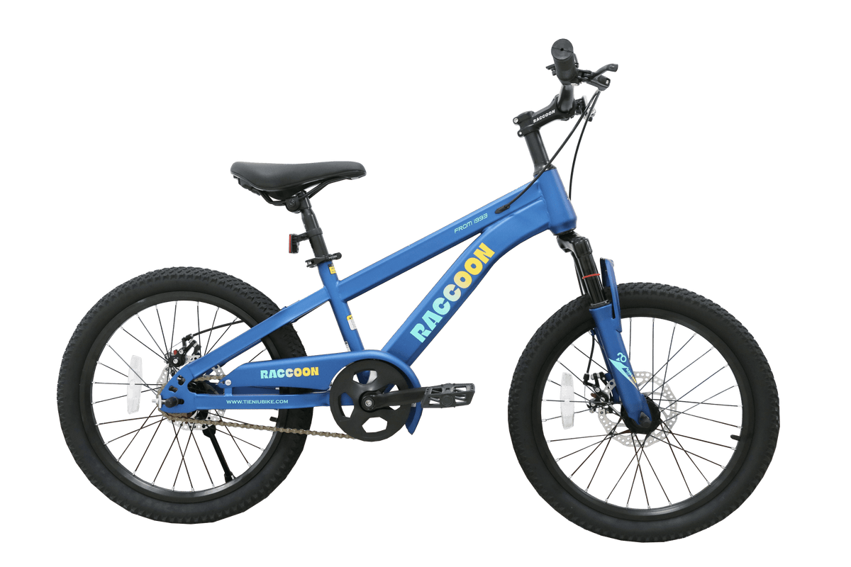 Raccoon Bicycle 22 Inch Blue TN24R67 22IN - Colorland Toys