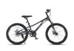 Raccoon Bicycle 22 Inch Grey TN24R79