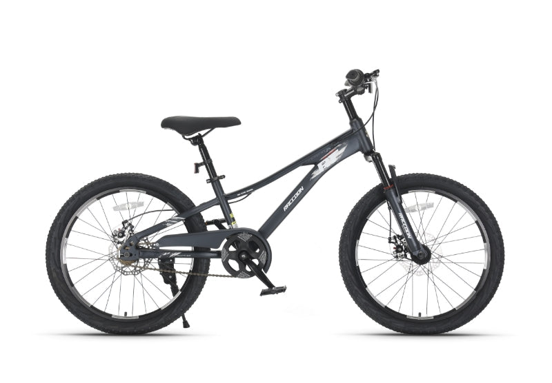Raccoon Bicycle 22 Inch Grey TN24R79 — image 1