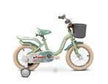 Raccoon Bicycle With Basket 14 Inch Green TN23R06 14IN CARRIER