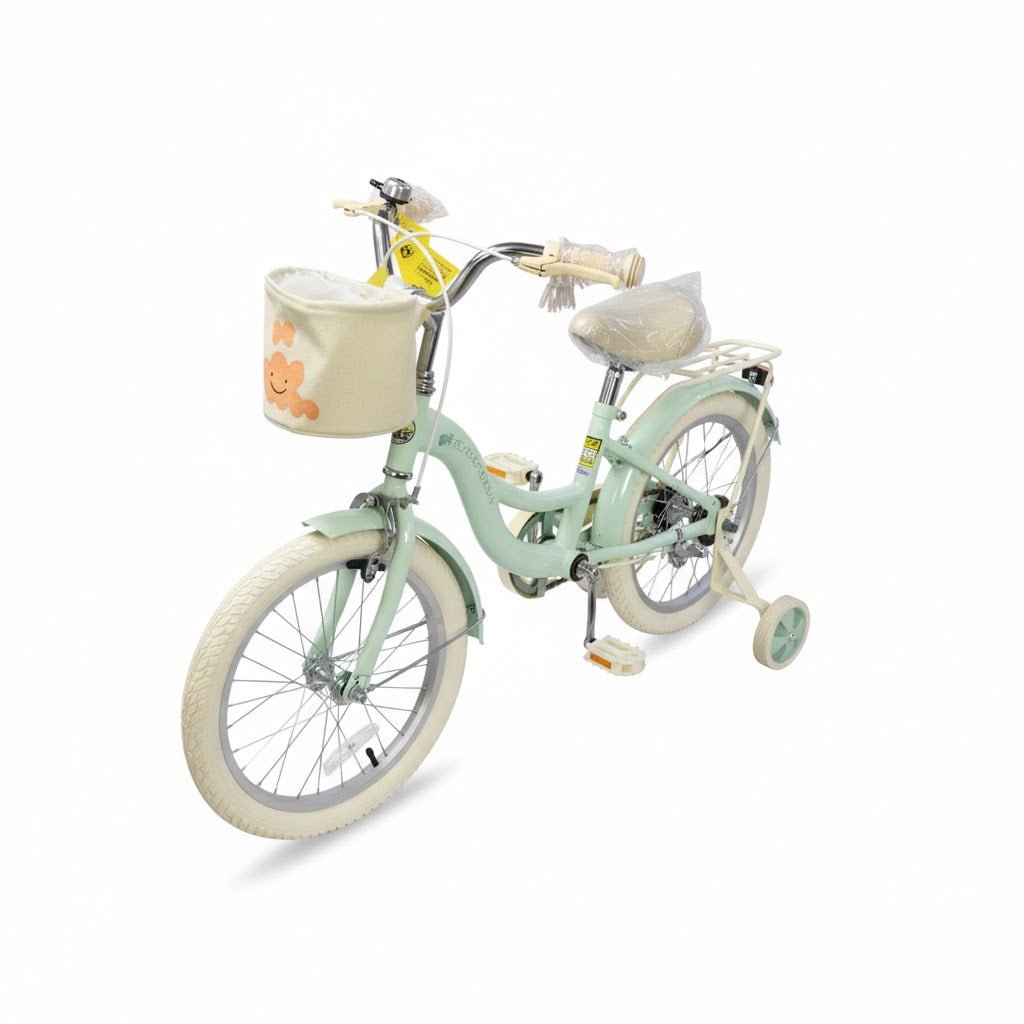 Raccoon Bicycle With Basket 16 Inch Green TN23R06 16IN — image 1
