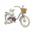 Raccoon Bicycle With Basket 16 Inch Purple TN23R06 16IN CARRIER