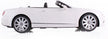 RASTAR Scale Bentley Continental GT Car Assorted 49900