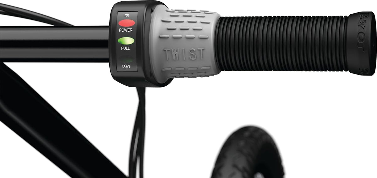 Razor E-Scooter EcoSmart HD SUP 25km/h 13173819 — image 2