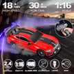 RC Car Drift King with Charger 1:16 Scale 699-160