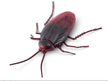 Robo Alive Crawling Cockroach Series-2 7152TQ1