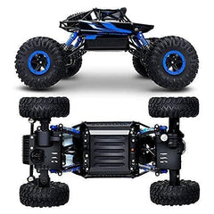 Rock Climb Amphibious RC Car 1:10 Scale ZG - D10001 - Colorland Toys