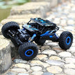 Rock Climb Amphibious RC Car 1:10 Scale ZG-D10001