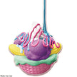Slimi Cafe Sweet Treats Creation Kit 128371-00