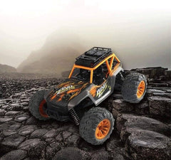 Sam Toys 1:14 Hobby Line High Speed RC Car Asstd. UJ99 - G168 - Colorland Toys