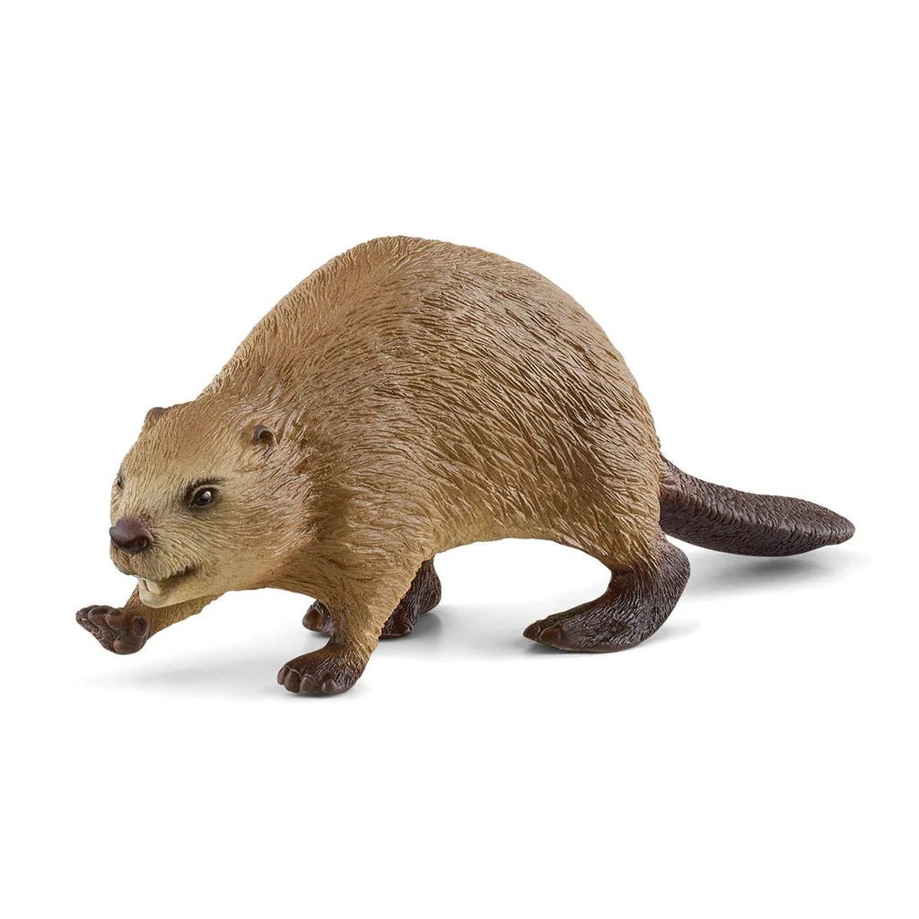 Schleich Beaver 14855 - Colorland Toys