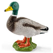 Schleich Drake 13824