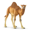 Schleich Dromedary 14832