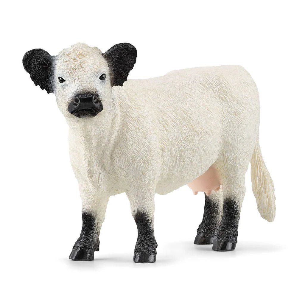 Schleich Galloway Cow 13960 — image 1