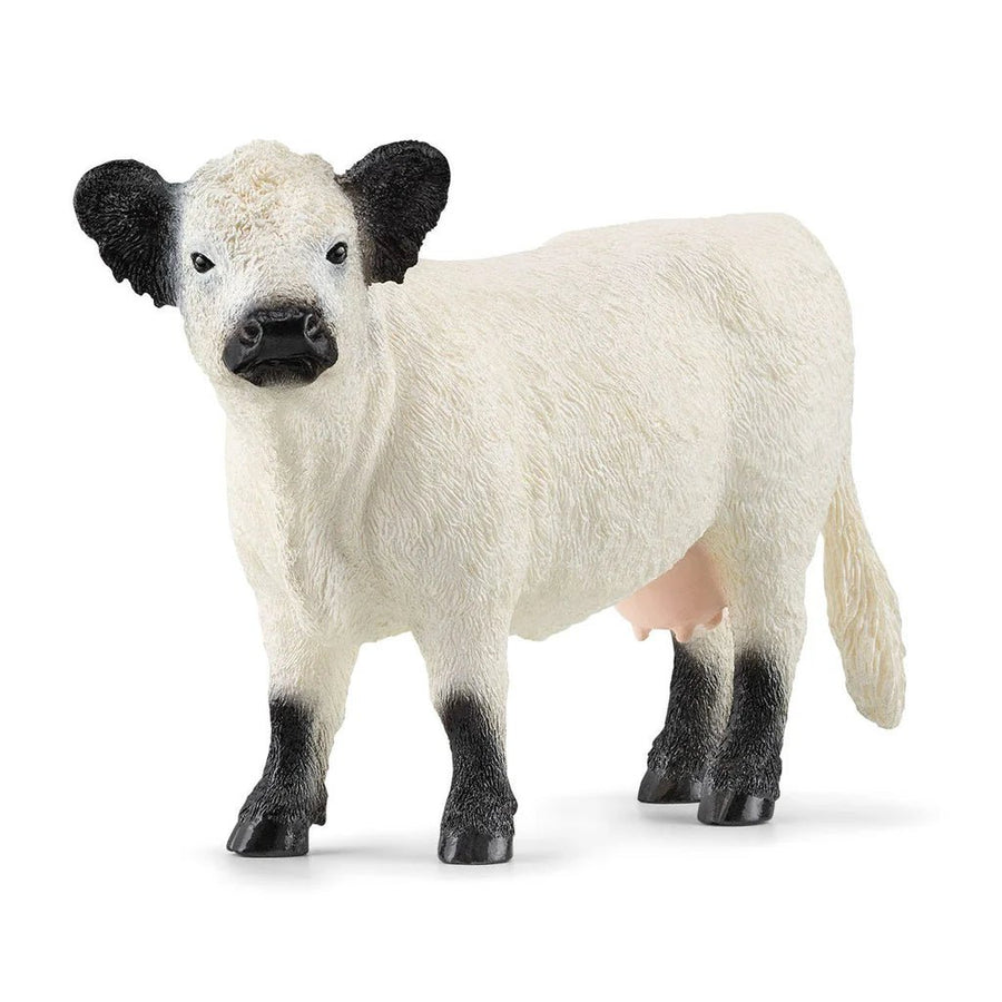 Schleich Galloway Cow 13960 — image 1