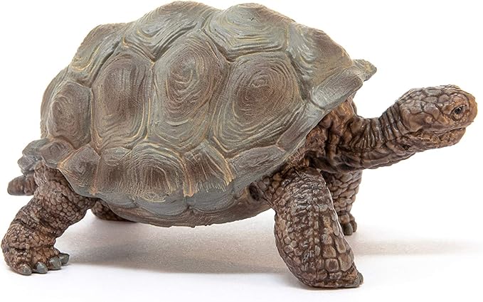 Schleich Giant Tortoise 14824 — image 2