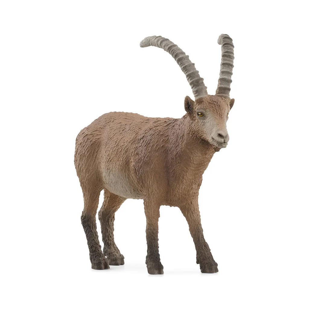 Schleich Ibex 14873 - Colorland Toys