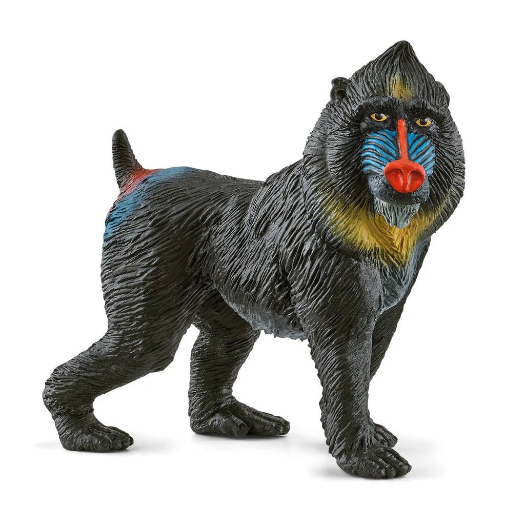Schleich Mandrill 14856 - Colorland Toys