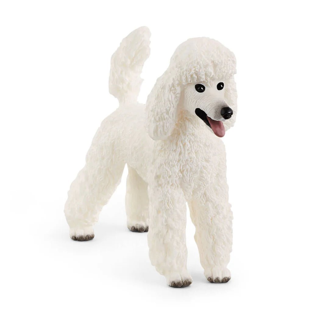 Schleich Poodle 13917 - Colorland Toys