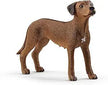 Schleich Rhodesian Ridgeback 13895