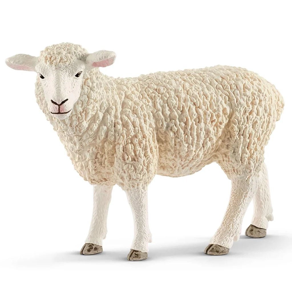 Schleich Sheep 13882 - Colorland Toys