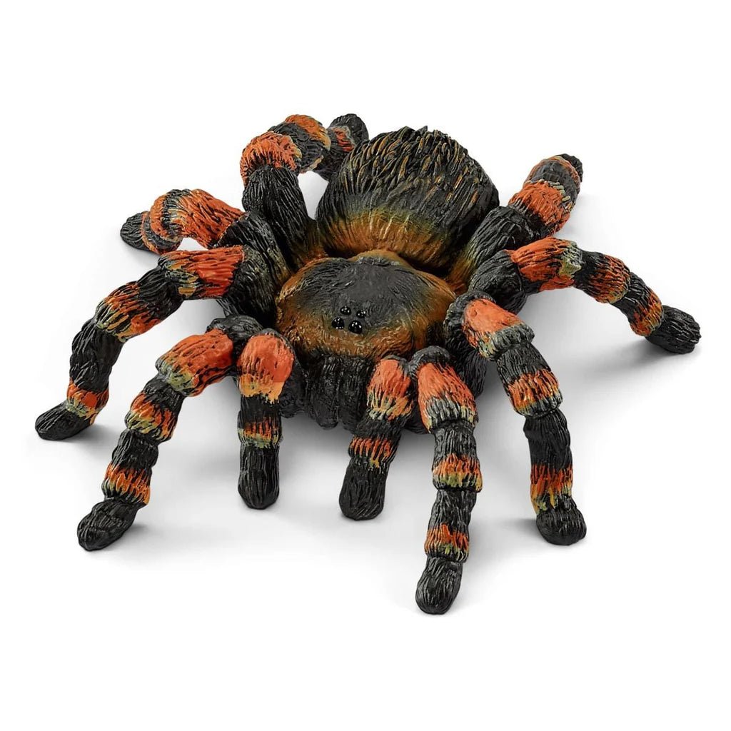 Schleich Tarantula 14829 - Colorland Toys