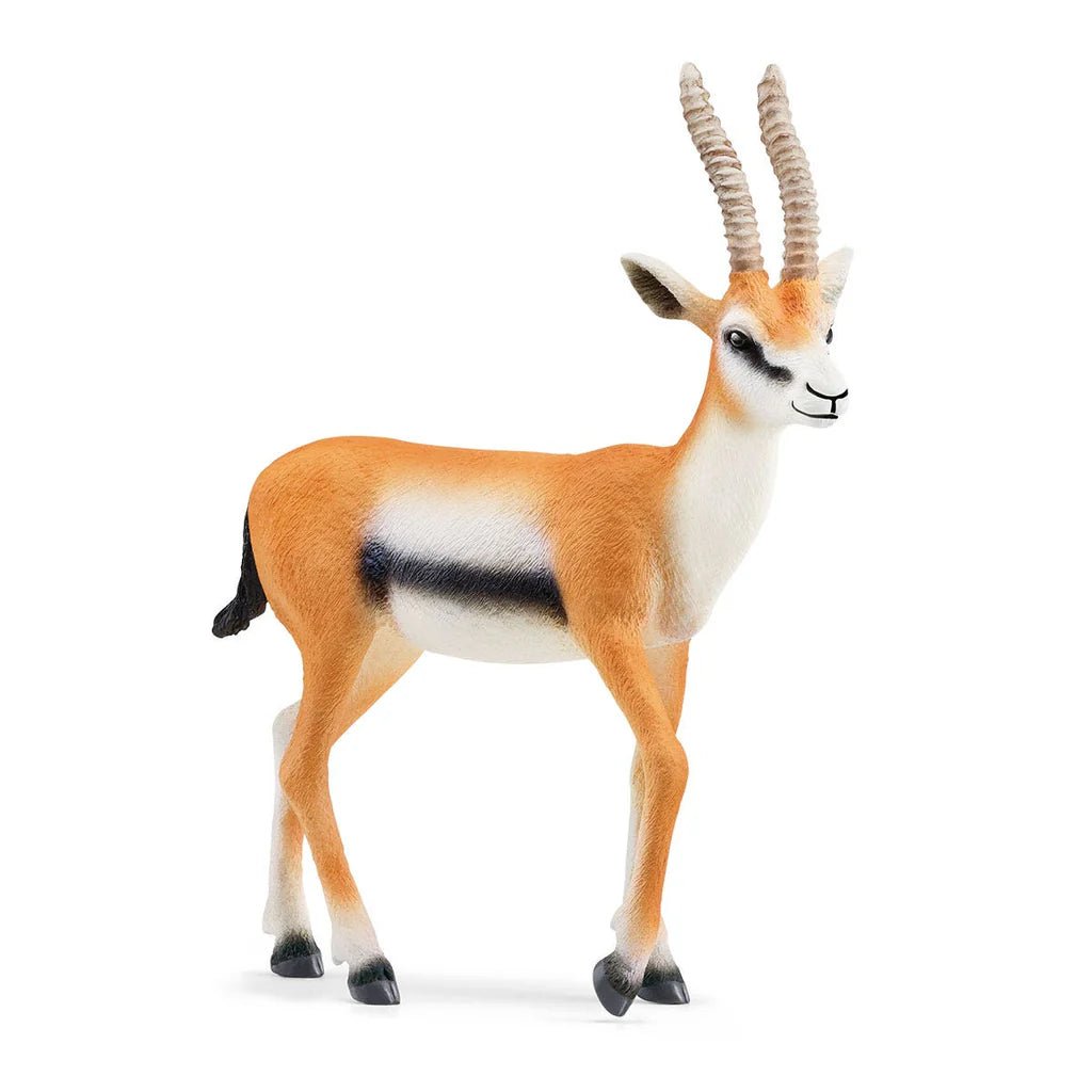 Schleich Thomson Gazelle 14861 - Colorland Toys