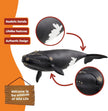 Schleich Wild Life North Atlantic Right Whale 7" Animal Toy Figurine