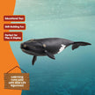 Schleich Wild Life North Atlantic Right Whale 7" Animal Toy Figurine