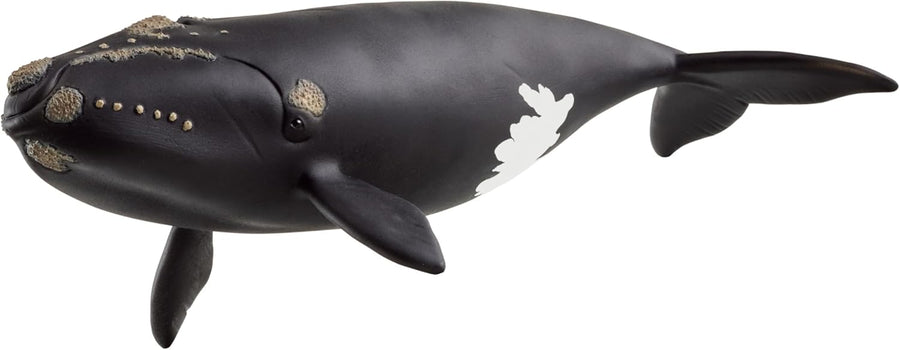 Schleich Wild Life North Atlantic Right Whale 7" Animal Toy Figurine