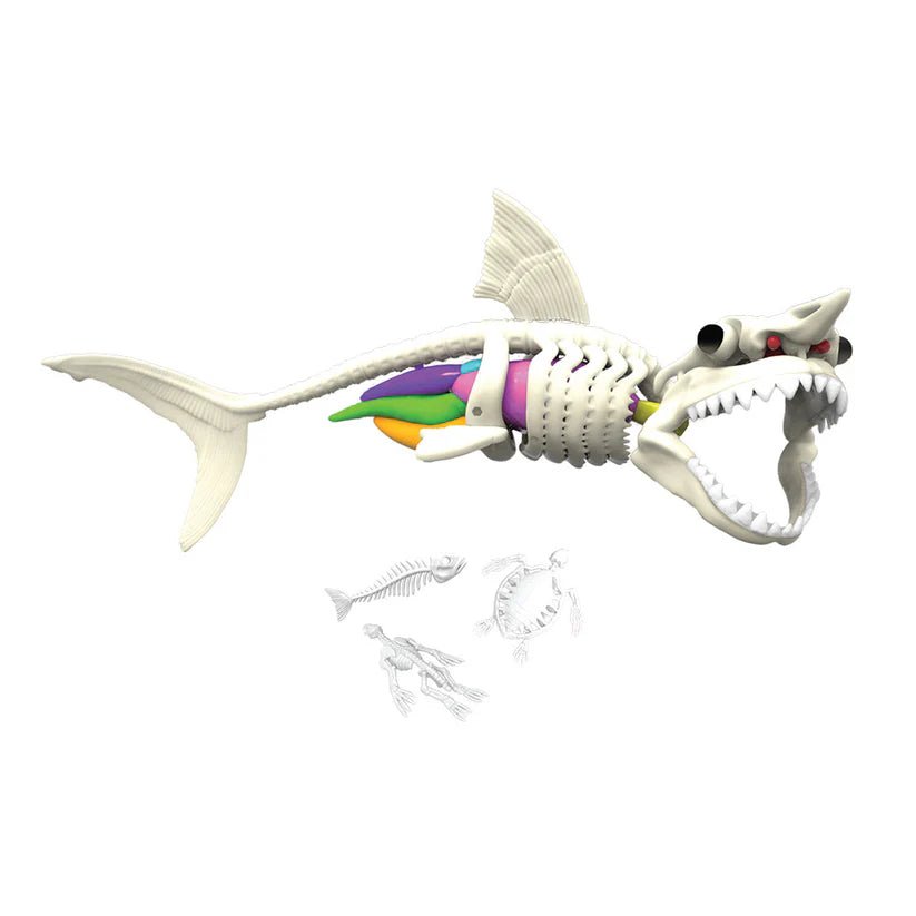 Slimy Dissect It in Giftbox - Shark with One Refill 38081 — image 2