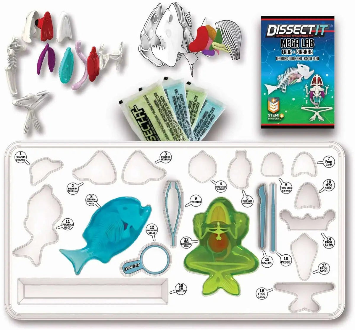 Slimy Lab Dissect It Synthetic Dissection Kit - Piranha And Frog 38084 — image 4