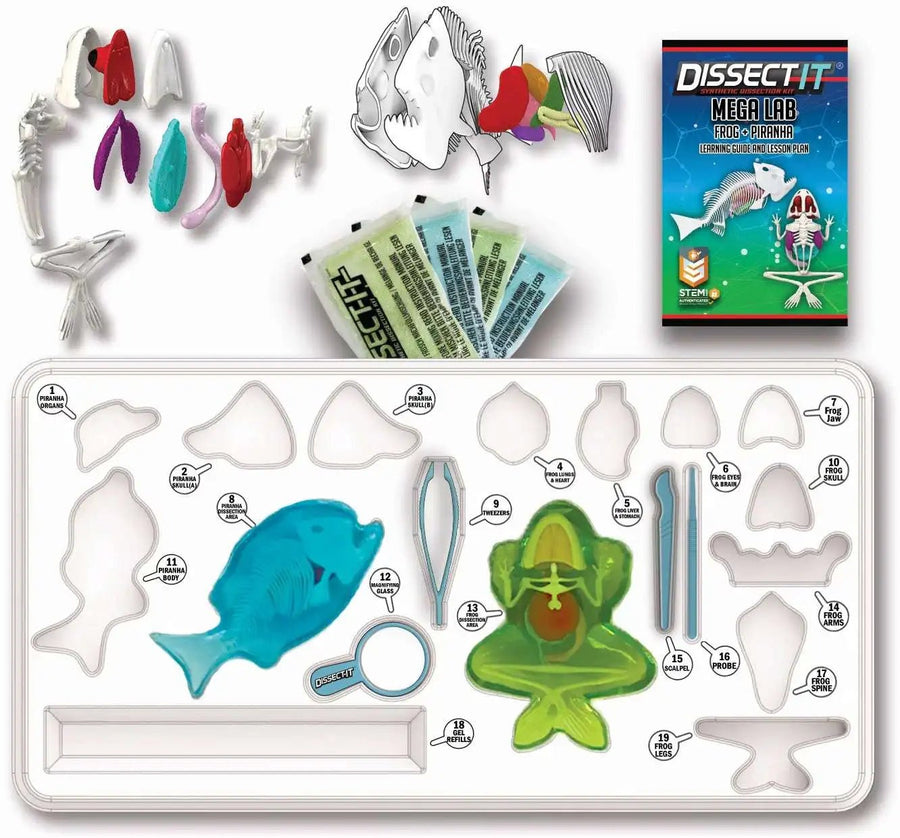 Slimy Lab Dissect It Synthetic Dissection Kit - Piranha And Frog 38084 — image 4
