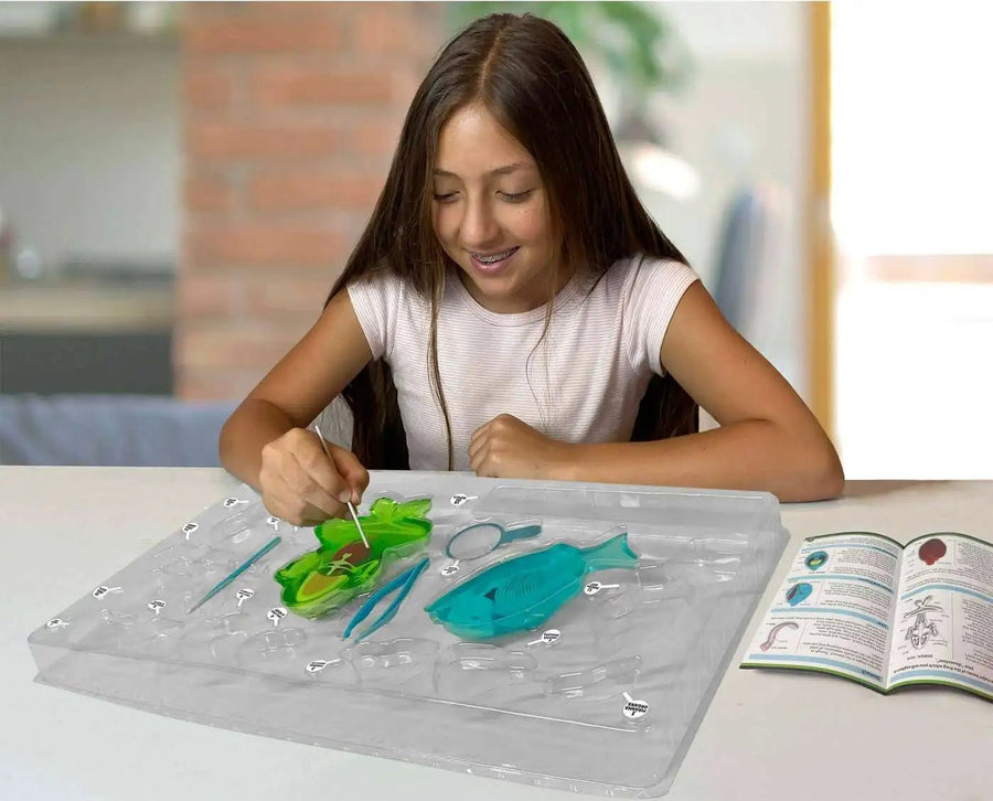 Slimy Lab Dissect It Synthetic Dissection Kit - Piranha And Frog 38084 — image 3