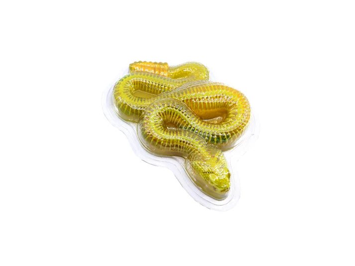 Slimy Lab Dissect It Synthetic Dissection Kit - Rattlesnake 38095 - Colorland Toys