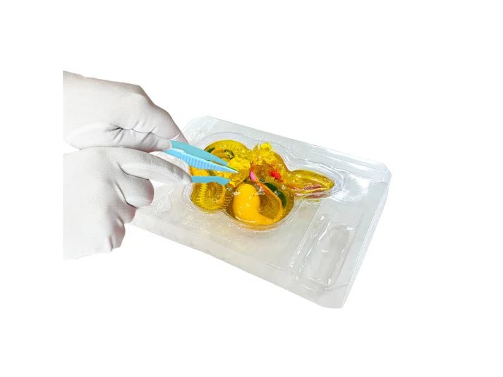 Slimy Lab Dissect It Synthetic Dissection Kit - Rattlesnake 38095 — image 3