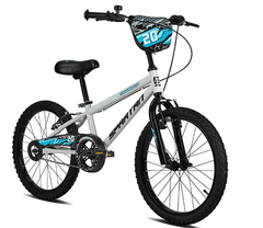 Spartan Thunder 20" Bicycle - Gray Gloss SP - 3289 - Colorland Toys