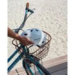 Spartan White Glossy Helmet SP-HL-9002