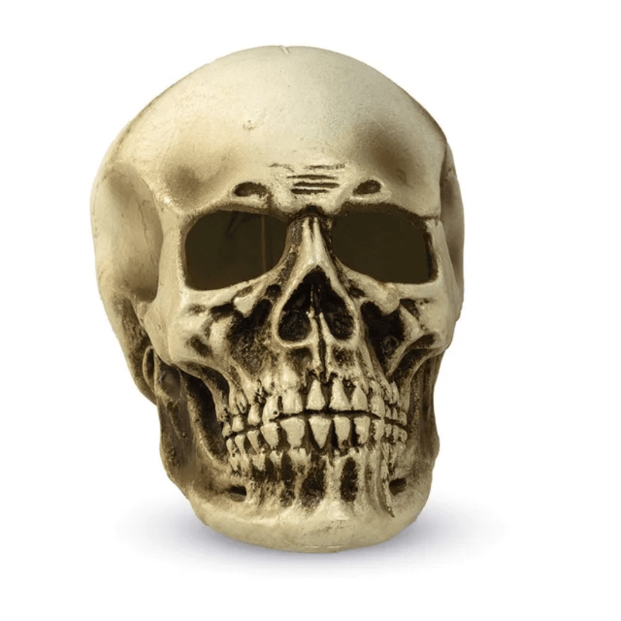 Spooky Halloween Green Light-Up Giant Skull - Halloween Decoration — image 3