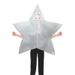 Star Silver 272 2-3
