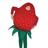 STRAWBERRY 216 6-7 — image 1